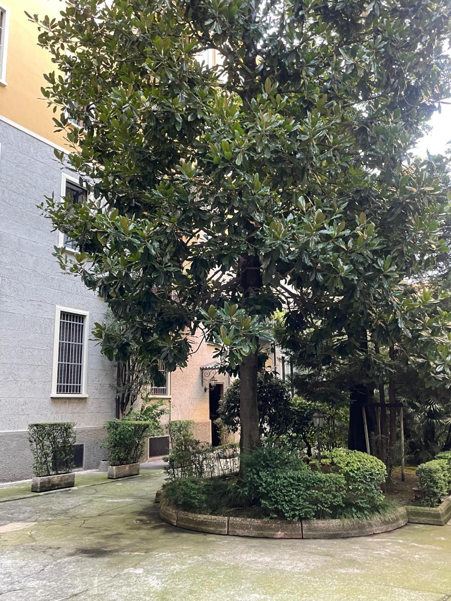 Viale Brianza Apartment Milano Esterno foto